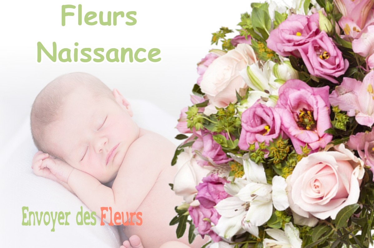 lIVRAISON FLEURS NAISSANCE à LAIMONT